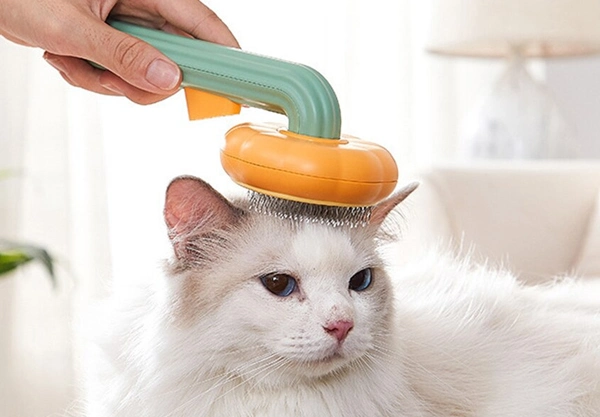 Pet Self Cleaning Slicker Pumpkin Brush Pets Grooming Tool Dropshipping