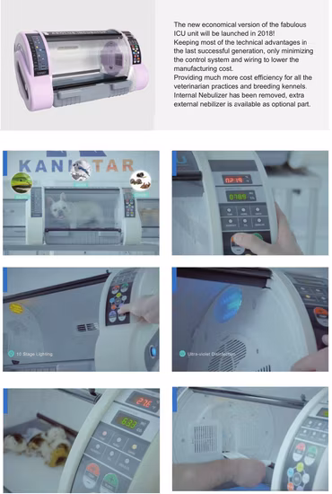 My-W069 의료 수의학 기기 동물 소형 애완 동물 인큐베이터 집중 강아지 인큐베이터 판매